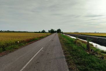 Hot Sale !! Tanah freehold (bumi saja) 0.5  Ekar, Dekat Kapal Terbang  Viral Sekincan 