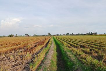 Hot Sale !! Tanah freehold (bumi saja) 0.5  Ekar, Dekat Kapal Terbang  Viral Sekincan 