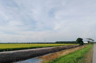 Hot Sale !! Tanah freehold (bumi saja) 0.5  Ekar, Dekat Kapal Terbang  Viral Sekincan 