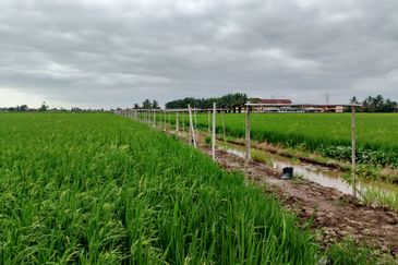  Homestay Untuk Dijual Lengkap 100% Fasiliti. 9 unit Chalet & Banglo Kayu Cantik. Boleh terus run bisnes!