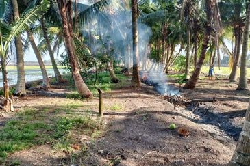 Dusun Kelapa & Buah Untuk dijual Segera