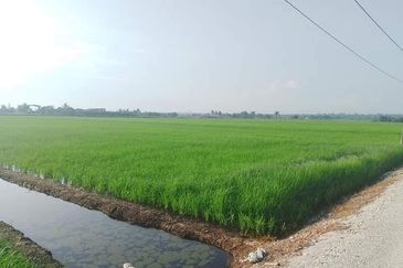  Sesuai Homestay!! View Sawah Padi,Tanah 1.48  Ekar, Parit 13 Sekincan (Pekan Sg Nibung), Selangor  (Geran Individu) 