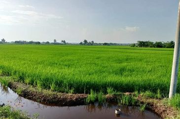  Sesuai Homestay!! View Sawah Padi,Tanah 1.48  Ekar, Parit 13 Sekincan (Pekan Sg Nibung), Selangor  (Geran Individu) 