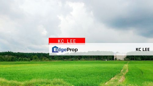 1.71 acres Paddy Field for sale | Agricultural Land | Padang Meha, Kedah, Kulim