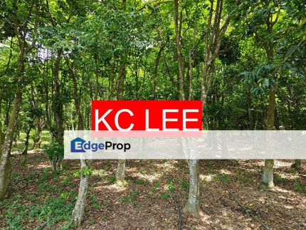 1.4 Acres Agarwood Trees(沉香树) For Sale | Zoning Perkampungan | Juru , Penang, Juru