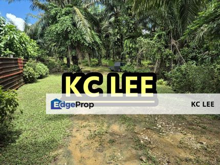 12.159 Acres Agricultural & Zoning Residential Land For Sale | Kuli, Kedah, Kulim