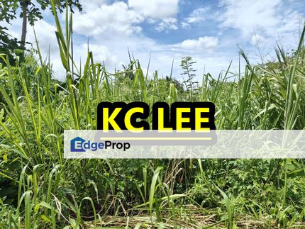 Main Road 0.718 Acres First Grade Land For Sale,Kubang Semang,Penang, Penang, Bukit Mertajam