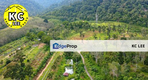 6.13 Acres Durian & Rubber Land For Sale | Jerlun | Kuala Kangsar, Perak, Kuala Kangsar