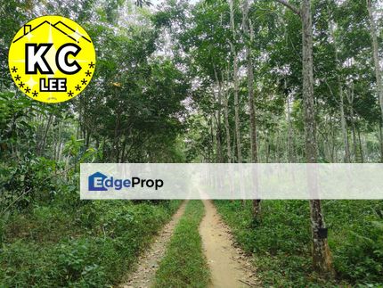 5.03 Acres Agricultural Land For Sale,Sauk,Perak ​, Perak, Kuala Kangsar