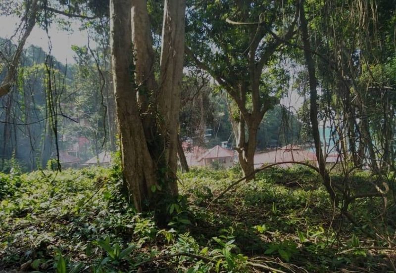 Land For Sale in Pulau Perhentian Kecil, Terengganu