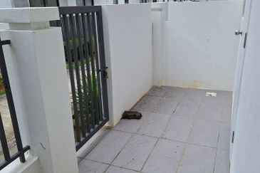 Graham Garden @ Eco Grandeur