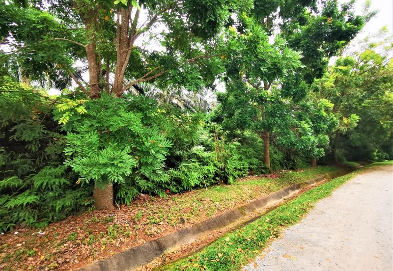 Ayer Keroh Melaka Agricultural Land For Sale