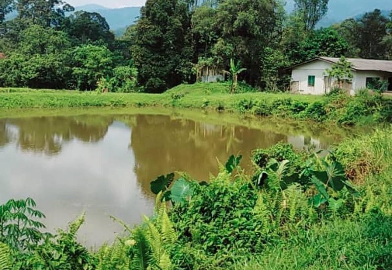 Kampung Sungai Lui