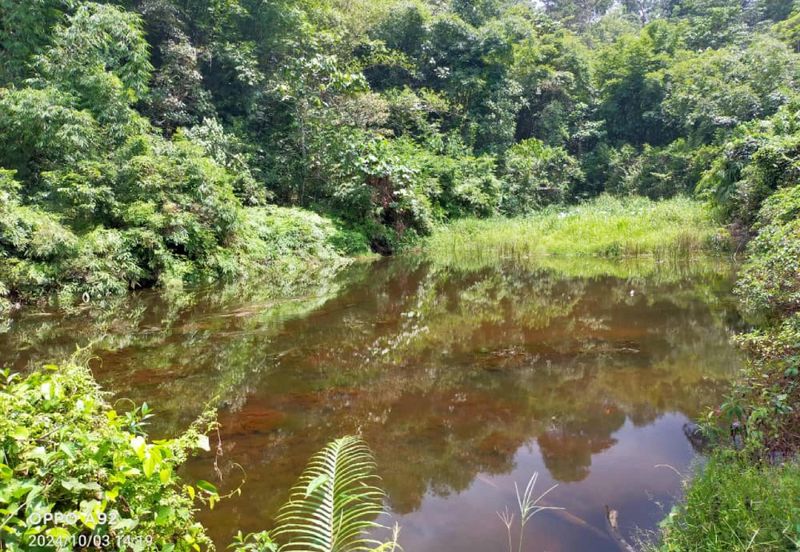Kampung Sungai Lui