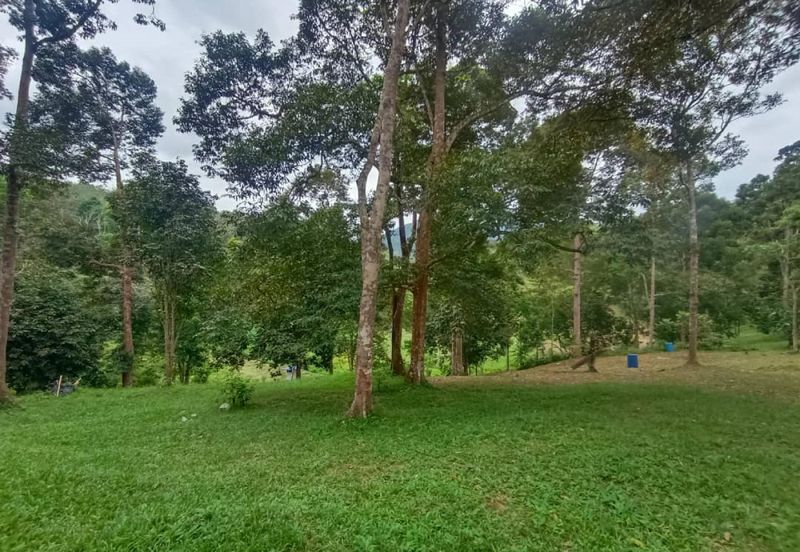 Terachi Ulu Bendul Kuala Pilah Agriculture Land For Sale