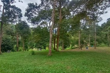 Terachi Ulu Bendul Kuala Pilah Agriculture Land For Sale