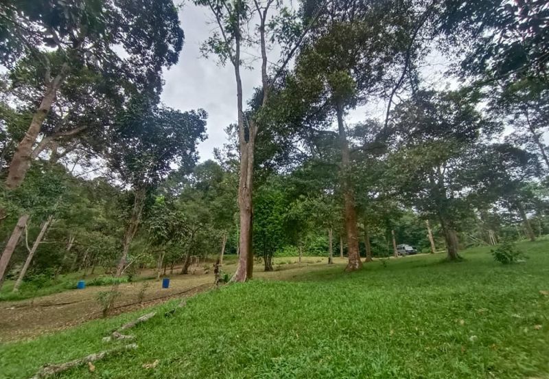 Terachi Ulu Bendul Kuala Pilah Agriculture Land For Sale