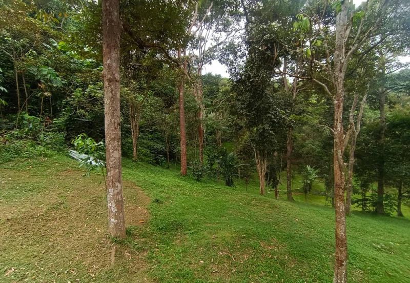Terachi Ulu Bendul Kuala Pilah Agriculture Land For Sale