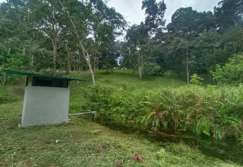 Terachi Ulu Bendul Kuala Pilah Agriculture Land For Sale