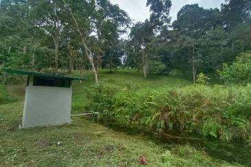 Terachi Ulu Bendul Kuala Pilah Agriculture Land For Sale