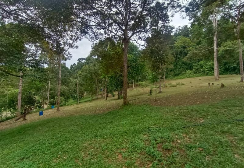 Terachi Ulu Bendul Kuala Pilah Agriculture Land For Sale