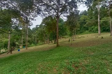 Terachi Ulu Bendul Kuala Pilah Agriculture Land For Sale