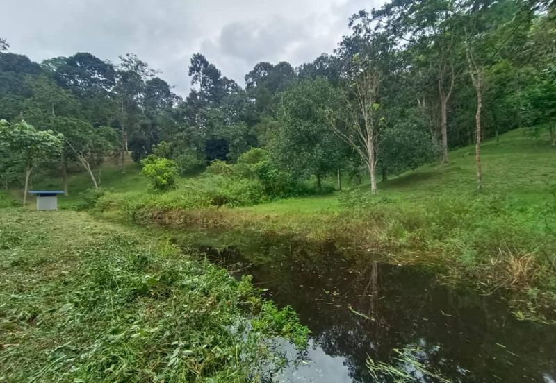 Terachi Ulu Bendul Kuala Pilah Agriculture Land For Sale