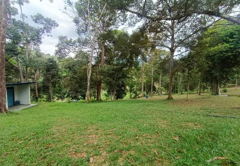 Terachi Ulu Bendul Kuala Pilah Agriculture Land For Sale
