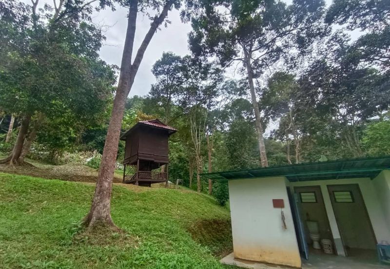 Terachi Ulu Bendul Kuala Pilah Agriculture Land For Sale