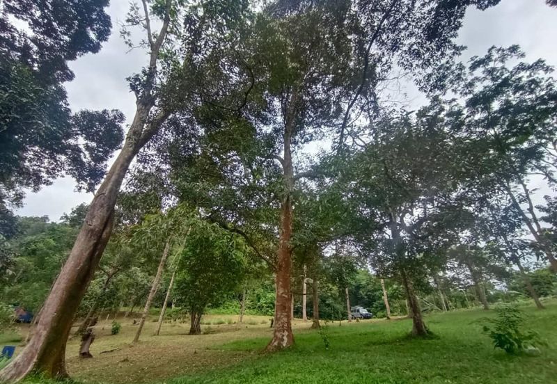 Terachi Ulu Bendul Kuala Pilah Agriculture Land For Sale