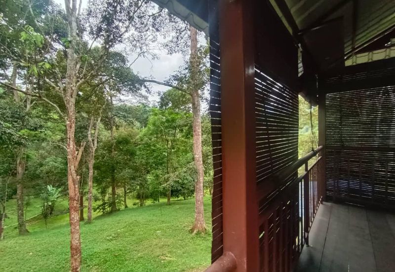 Terachi Ulu Bendul Kuala Pilah Agriculture Land For Sale