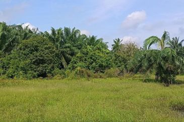 Sungai Pelek Sepang Residential Land For Sale