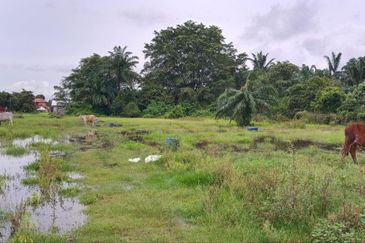 Sungai Pelek Sepang Residential Land For Sale