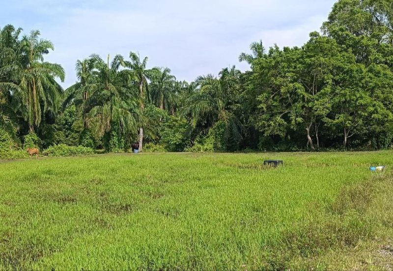 Sungai Pelek Sepang Residential Land For Sale