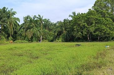 Sungai Pelek Sepang Residential Land For Sale