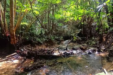 Kuala Pilah Negeri Sembilan Agricultural Land For Sale