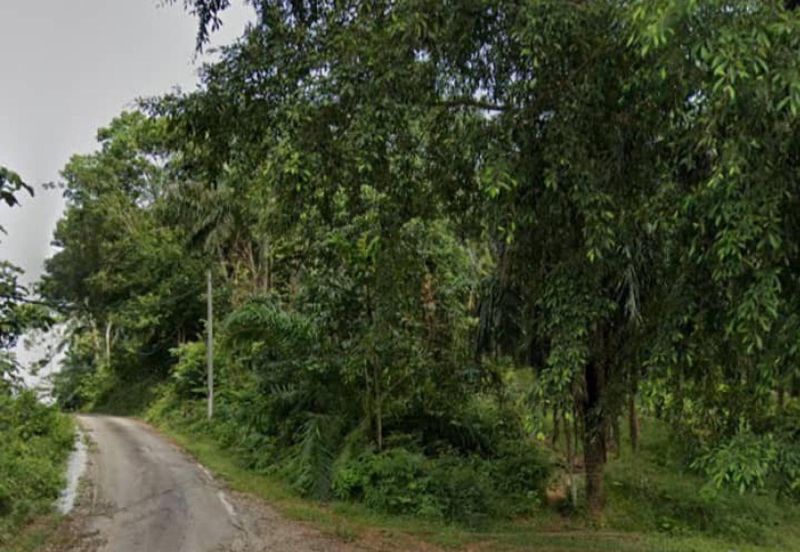 Kampung Jenderam Hulu