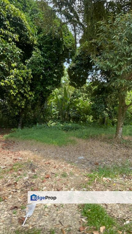 Hulu Langat Selangor Agriculture Land For Sale, Selangor, Hulu Langat