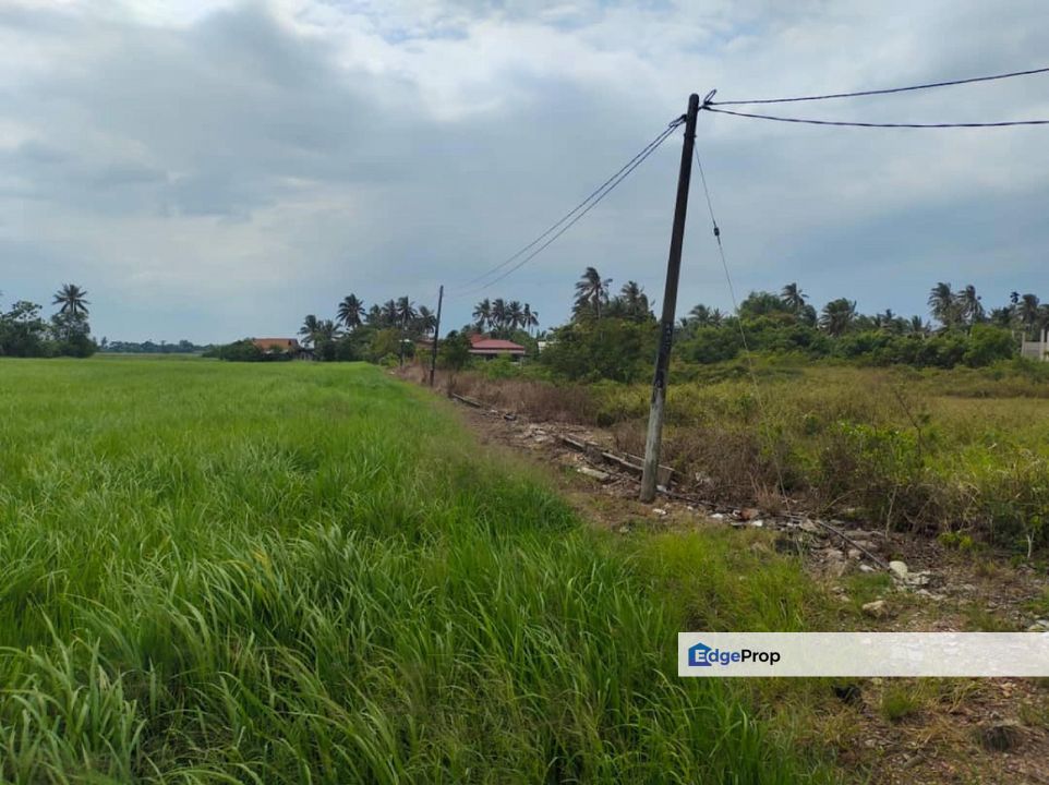 Alor Setar Kedah Agricultural Land For Sale, Kedah, Alor Setar