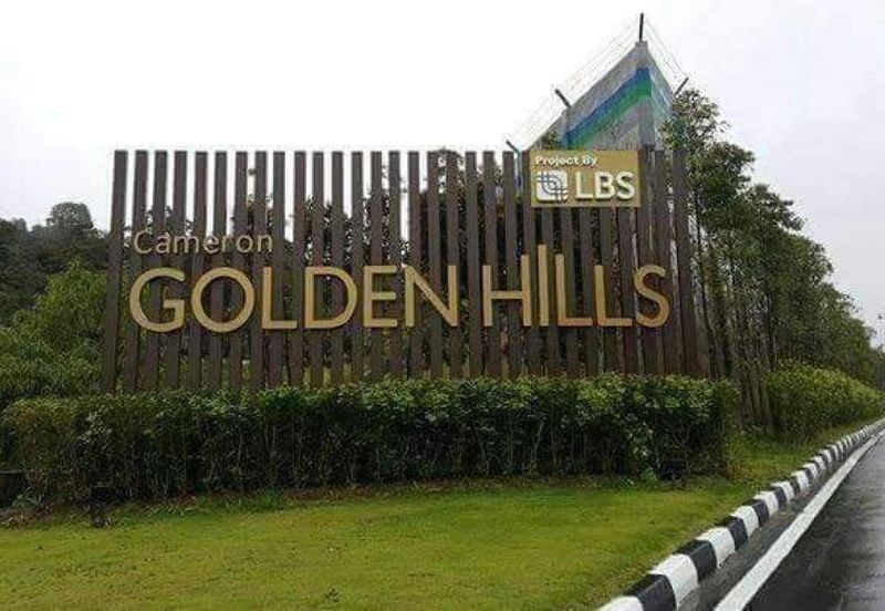 Cameron Golden Hills