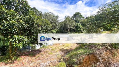 Tangkak Johor Agricultural Land For Sale, Johor, Tangkak