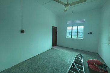 Stulang Laut / Darat