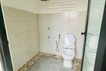 Stulang Laut / Darat