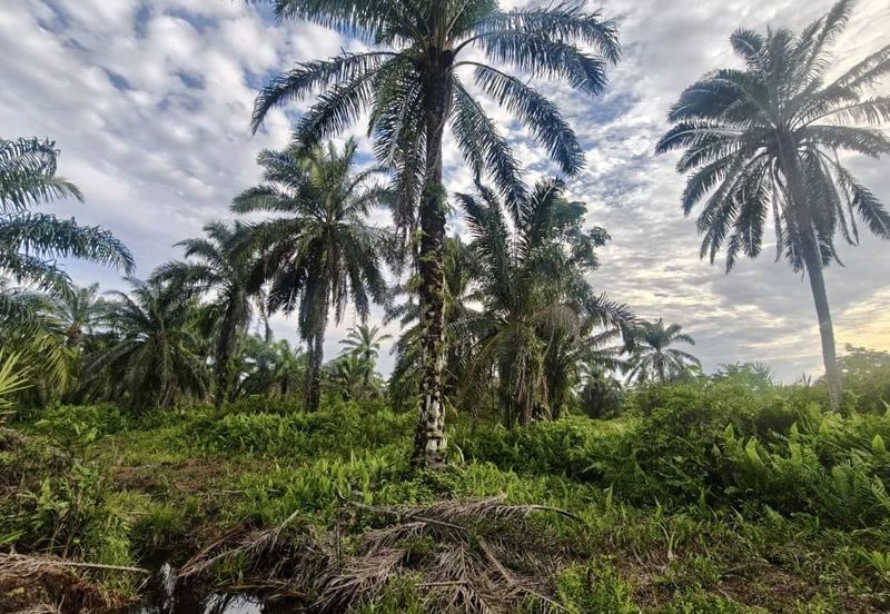 Taman Perindustrian Senai