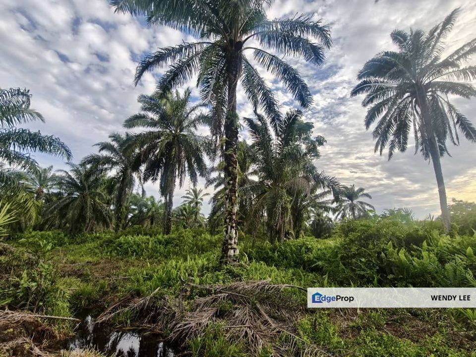 Senai | Light Industrial | 7.375 Acres | Square Land For Sale, Johor, Senai