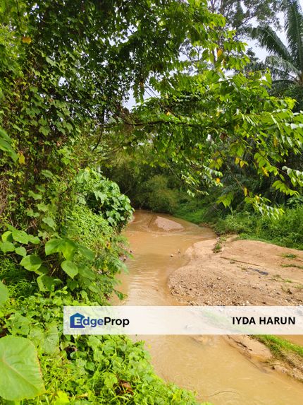 Broga Lenggeng Tanah Dusun Untuk Di Jual, Negeri Sembilan, Seremban