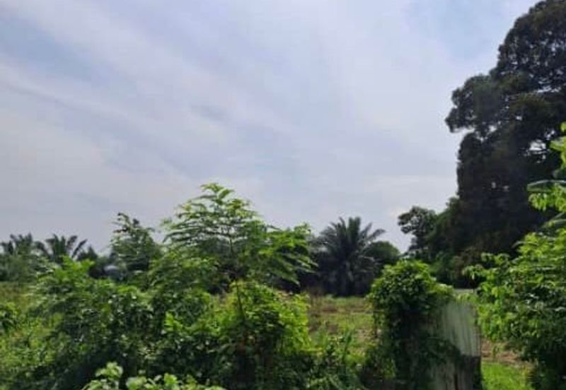 Kampung Baru Kundang, Rawang