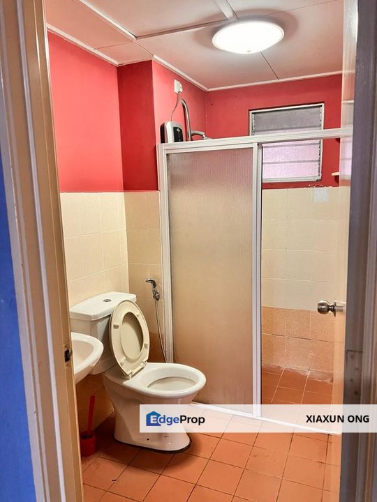 Koi Tropika Puchong, Selangor, Bandar Puteri Puchong