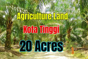 Kota Tinggi Oil Palm Johor Agriculture Land