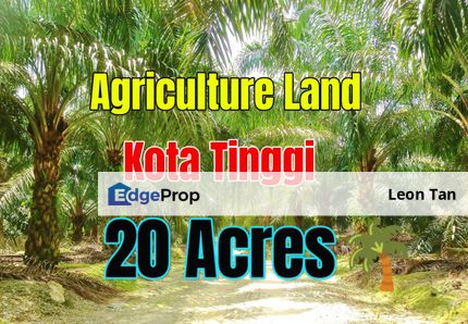 Kota Tinggi Oil Palm Johor Agriculture Land, Johor, Kota Tinggi